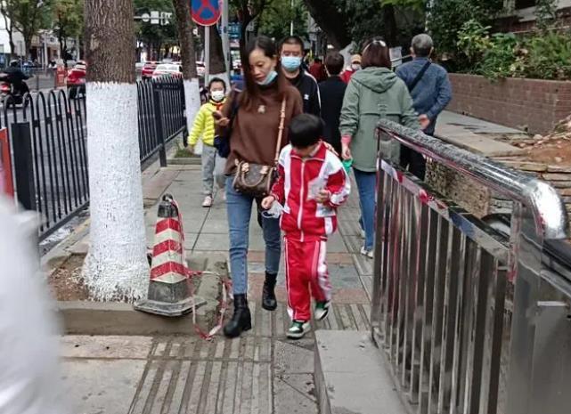临淄搬家公司给树木搬家